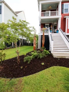 Tropical Front Yard Makeover - Charleston Crafted