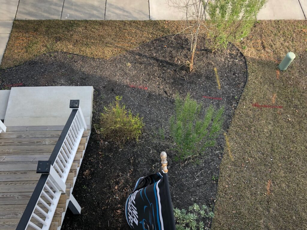 Overhead view of front yard before makeover