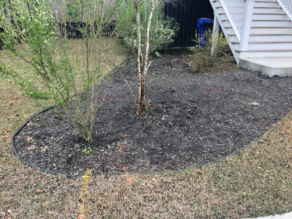 Utility line markings in yard