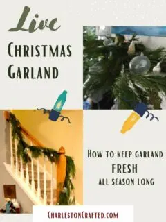 Live christmas garland tips and tricks