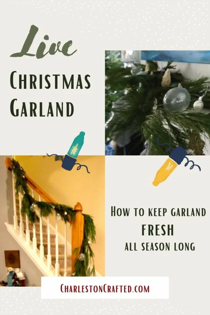 Live christmas garland tips and tricks