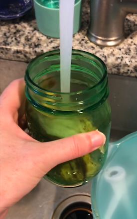 banana tea for plants