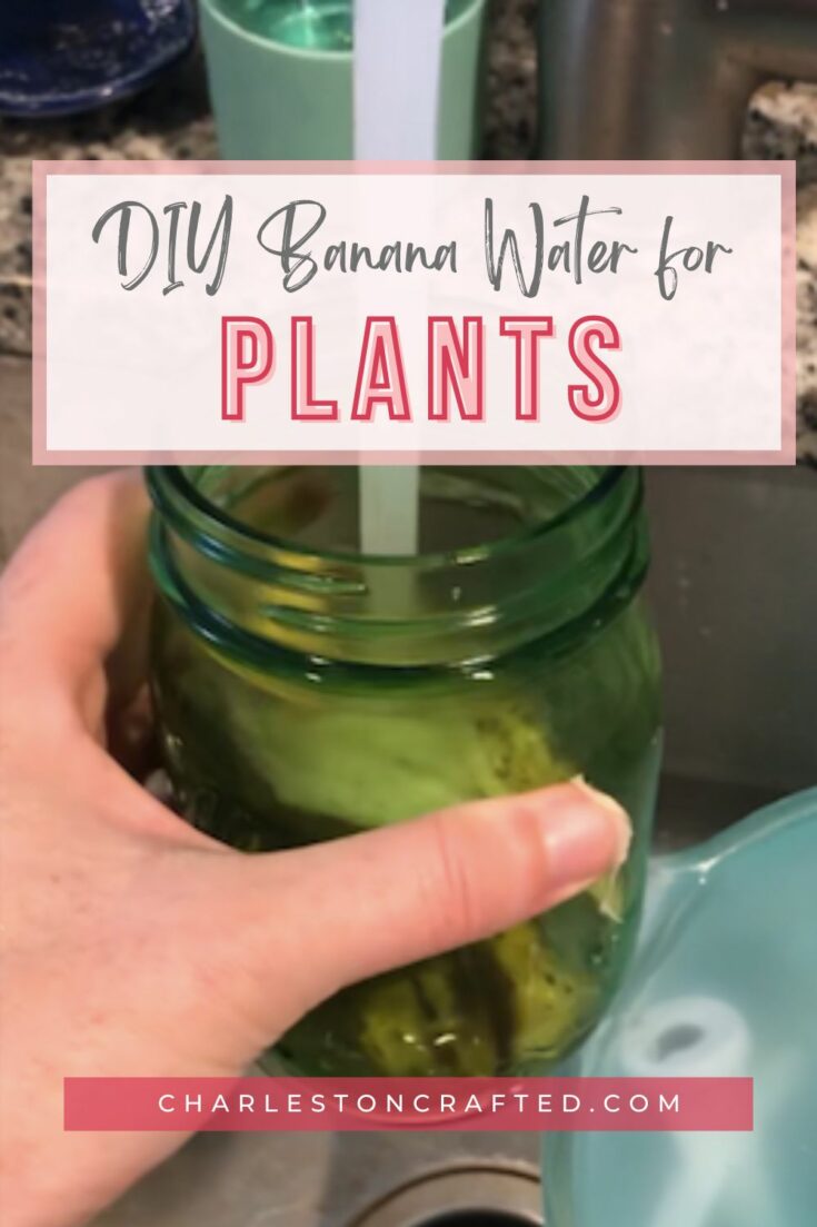 banana water for plants