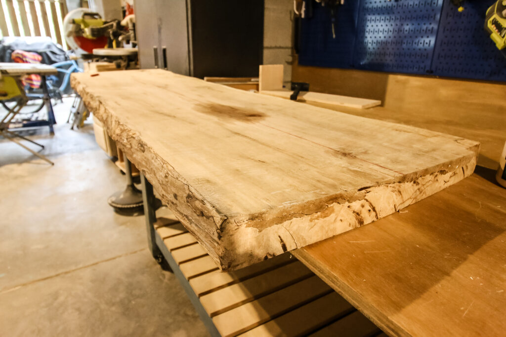 Slab of maple wood for floating shelves