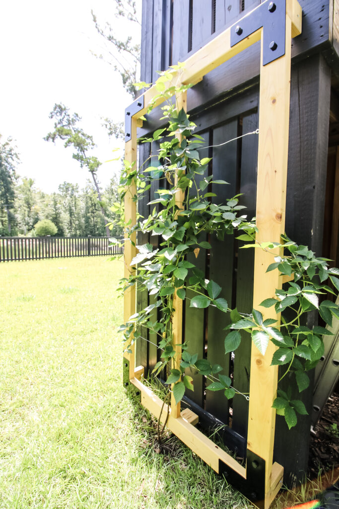 Decorative hardware on trellis