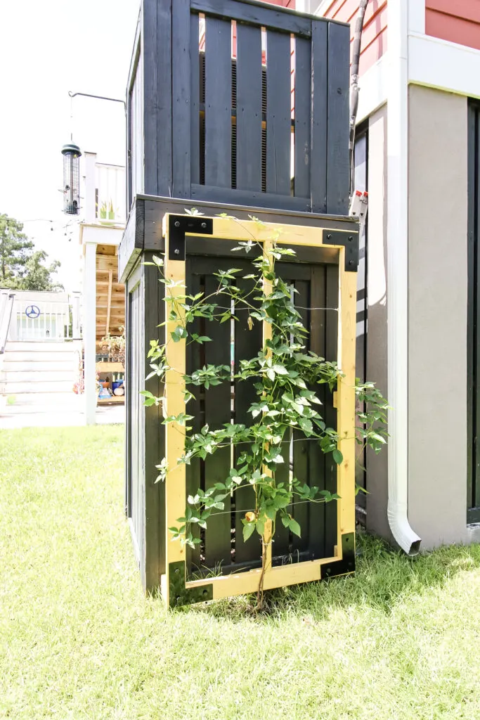 Full picture of wooden wire trellis