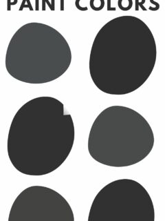 the best black paint colors