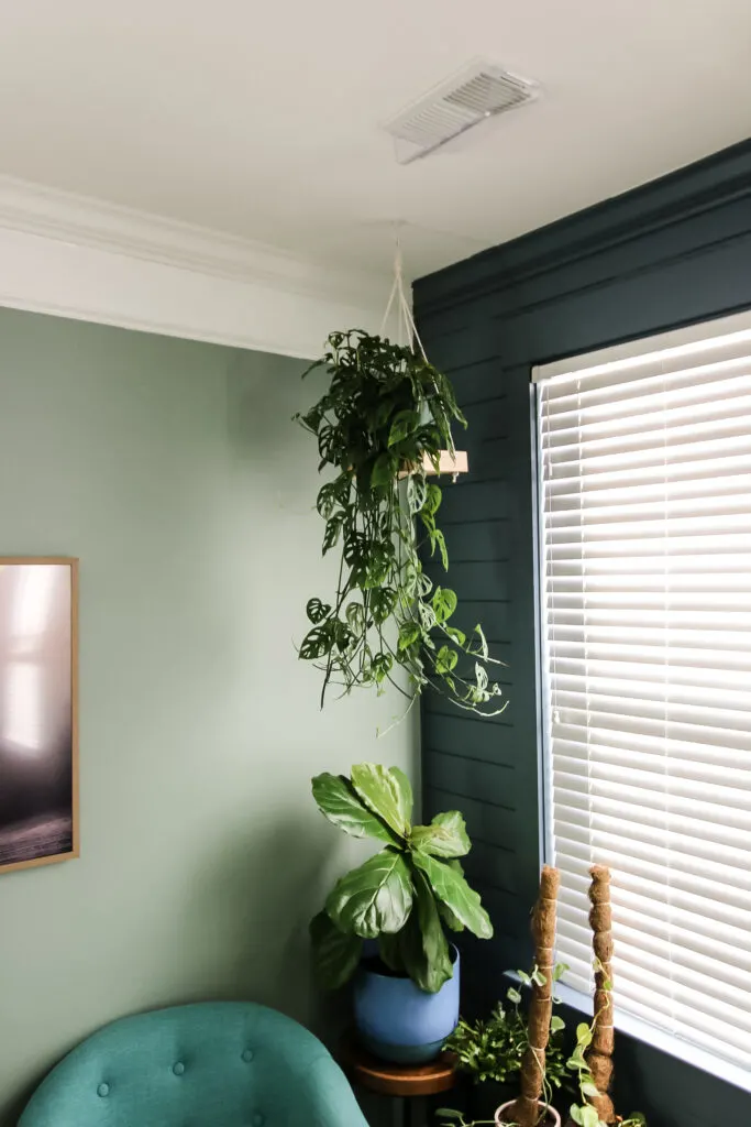 Hanging plant shelf in corner next to window