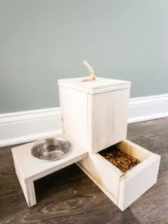 DIY self-filling cat food dispenser - Charleston Crafted