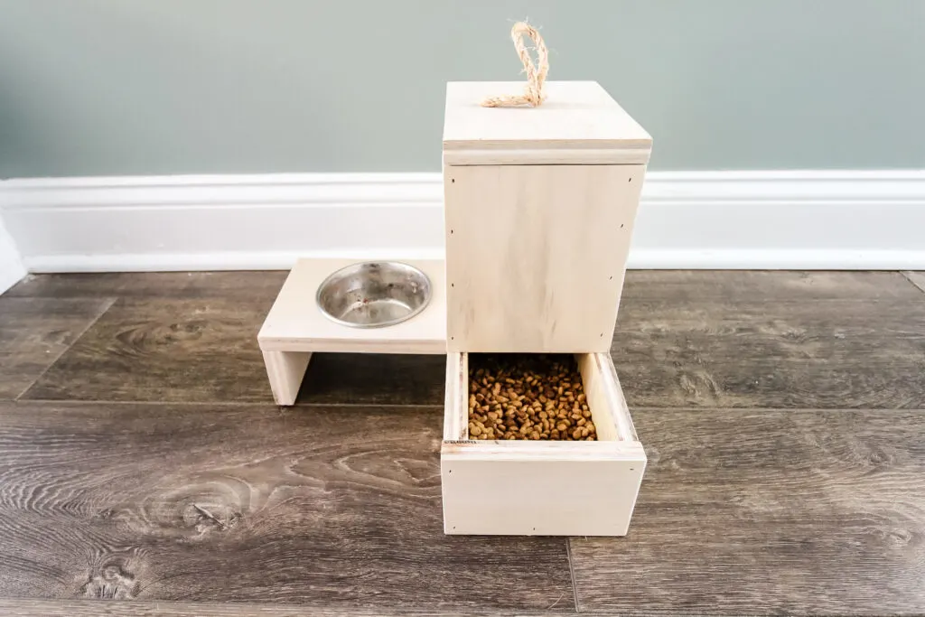 Final photo of self-filling cat food dispenser