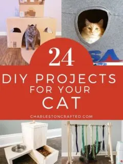 24 DIY projects for your cat