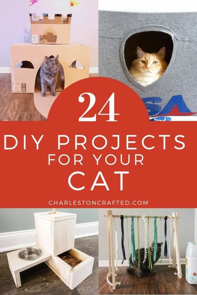 24 DIY projects for your cat