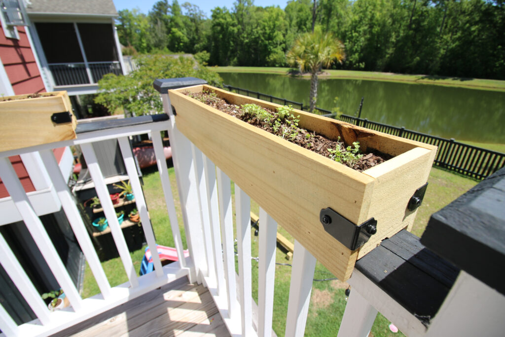 DIY deck rail planters with herb seedlings