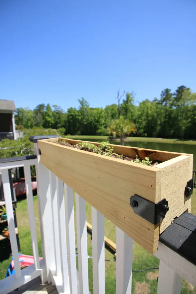Finished DIY deck rail planter on railing