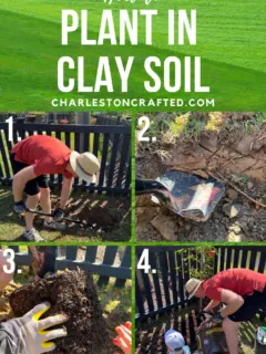 How to plant in clay soil- Charleston Crafted