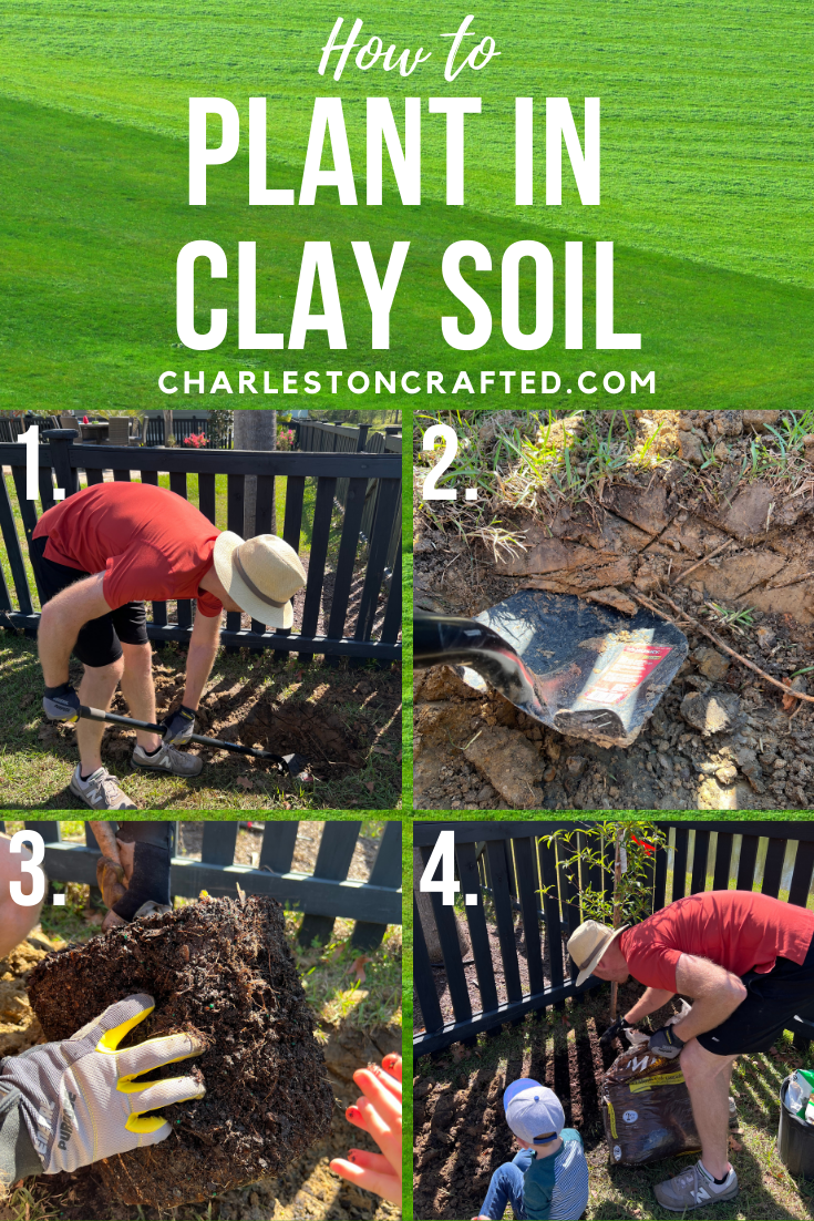 How to plant in clay soil- Charleston Crafted