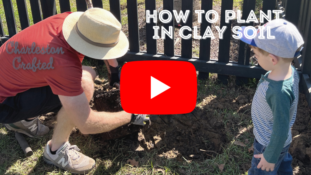 Link to youtube video on how to plant in clay soil