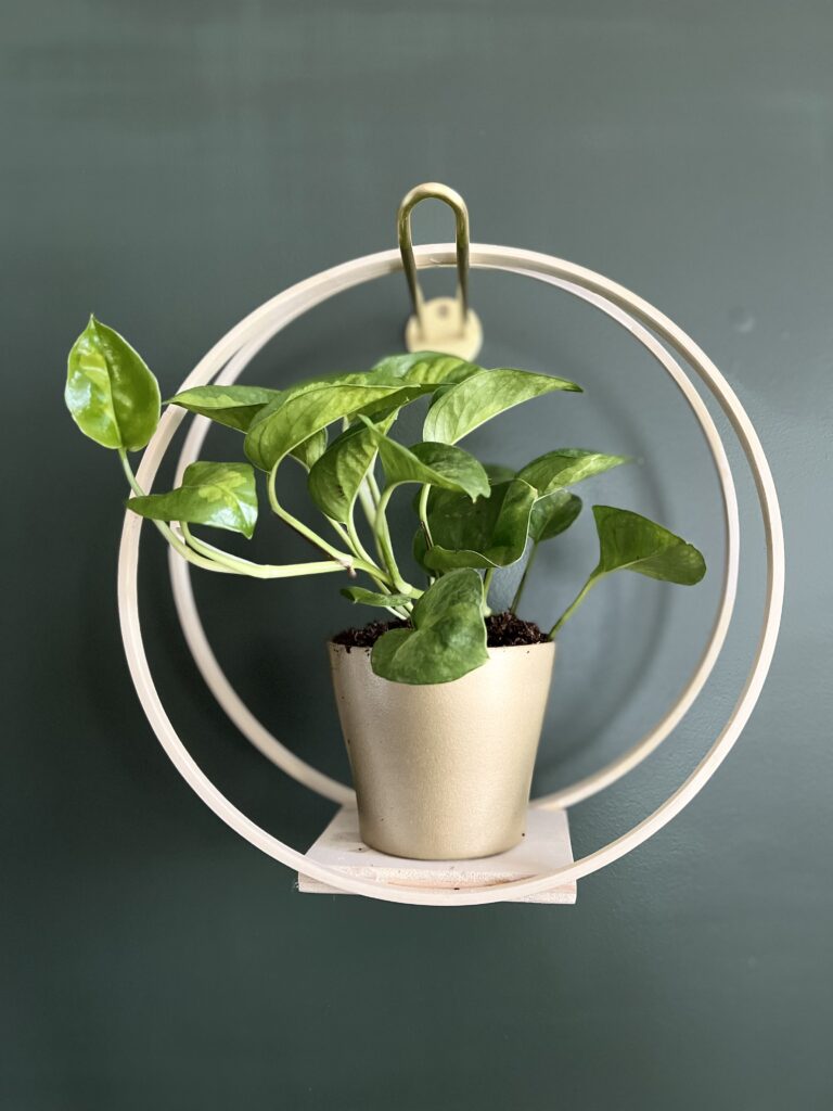 wooden plant hanger on a hook