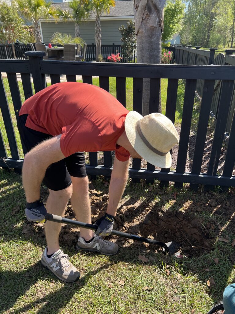 Digging hole for tree in clay soil