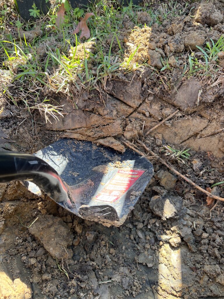 Cutting slices into wall of clay soil planting hole