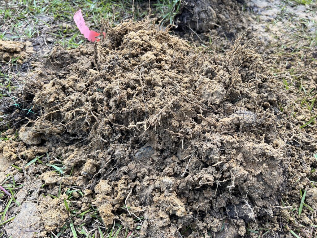 Clay soil pile