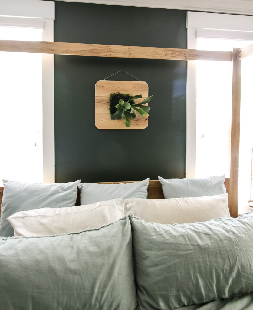 Staghorn fern over bed