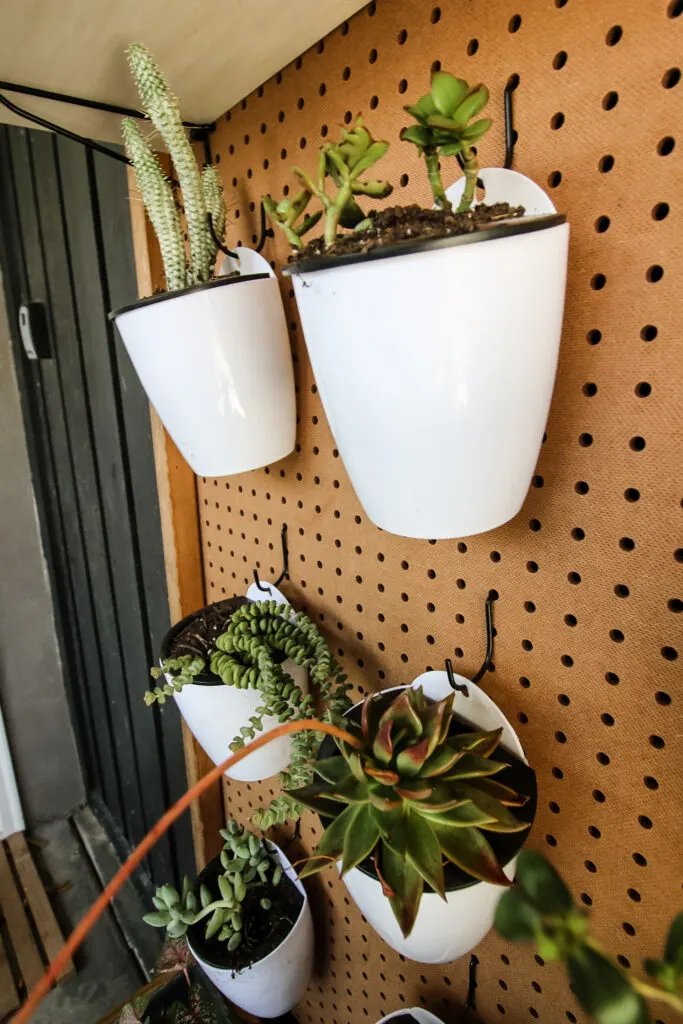 plants hanging on a pegboard