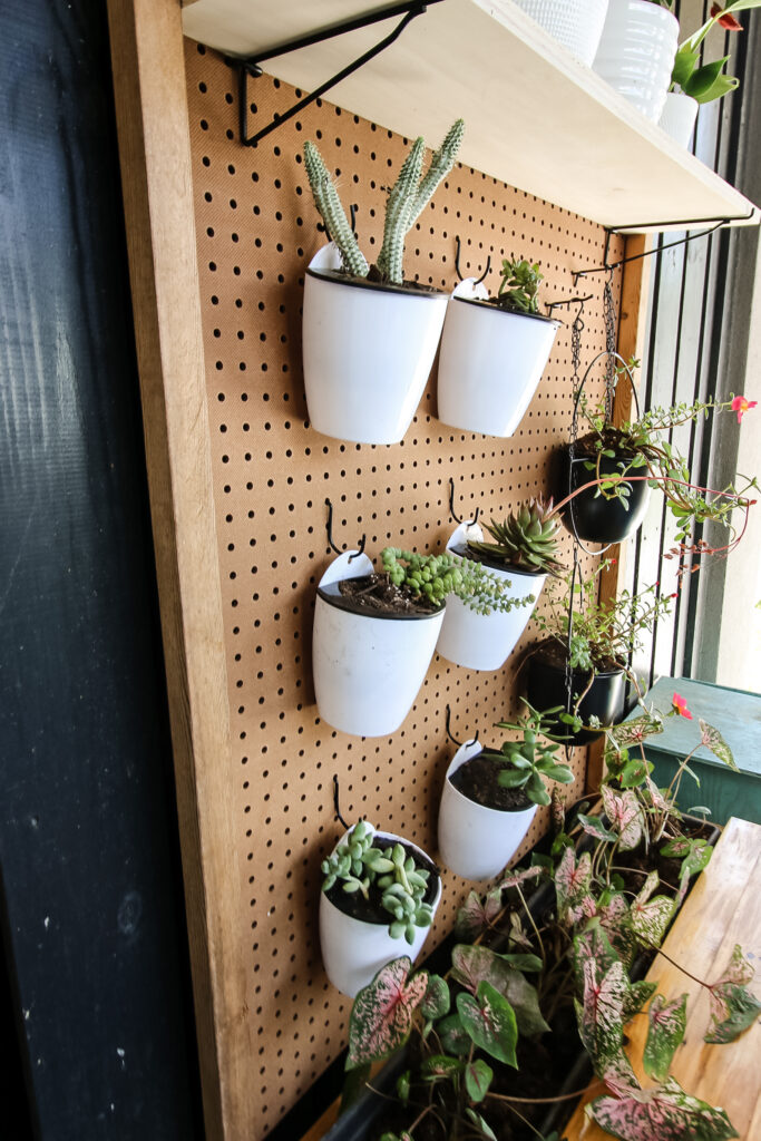 plants hanging on a pegboard wall