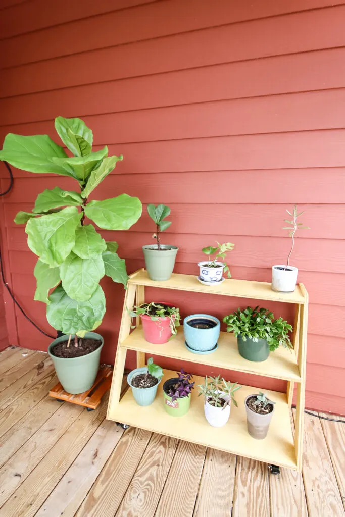 Completed plant stand with plants