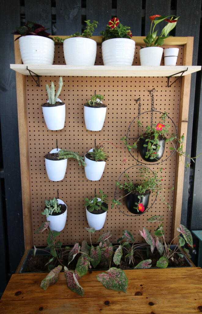 plant pegboard living wall