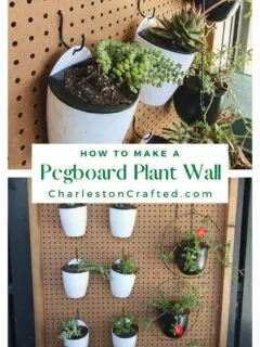 pegboard plant wall Pin Image