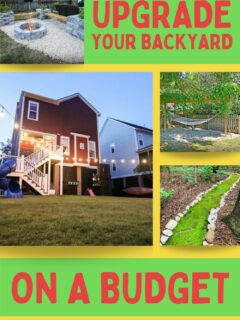 upgrade your backyard on a budget