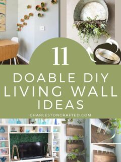 11 DIY living wall ideas