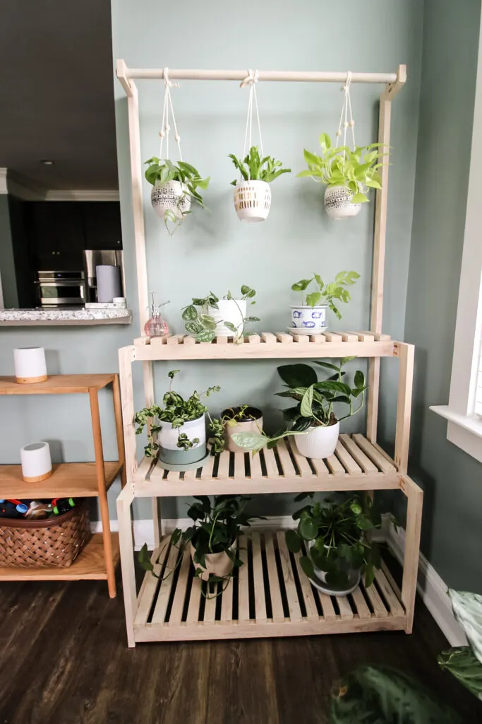 Straight on view of plant stand with hanging bar