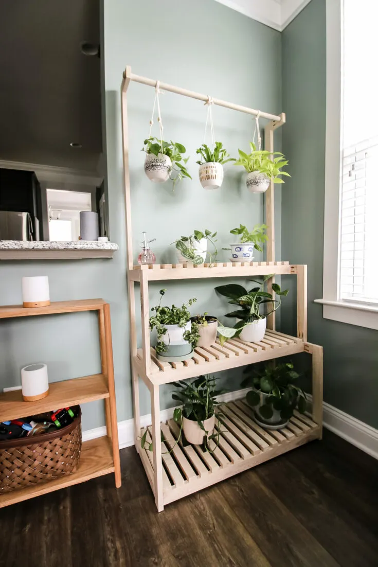 Diy plant sales stand with lights