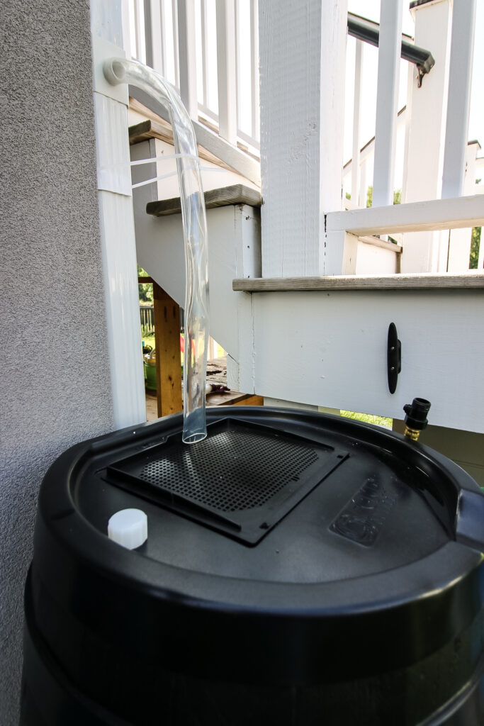 rain barrel with clear hose going into it