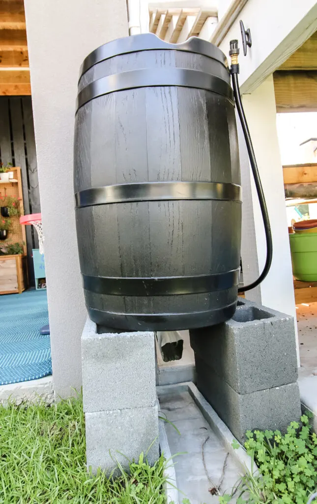 rainbarrel set up