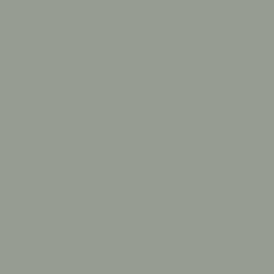 Sherwin-Williams-Acacia-Haze