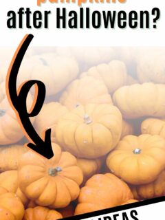 What to do with pumpkins after halloween