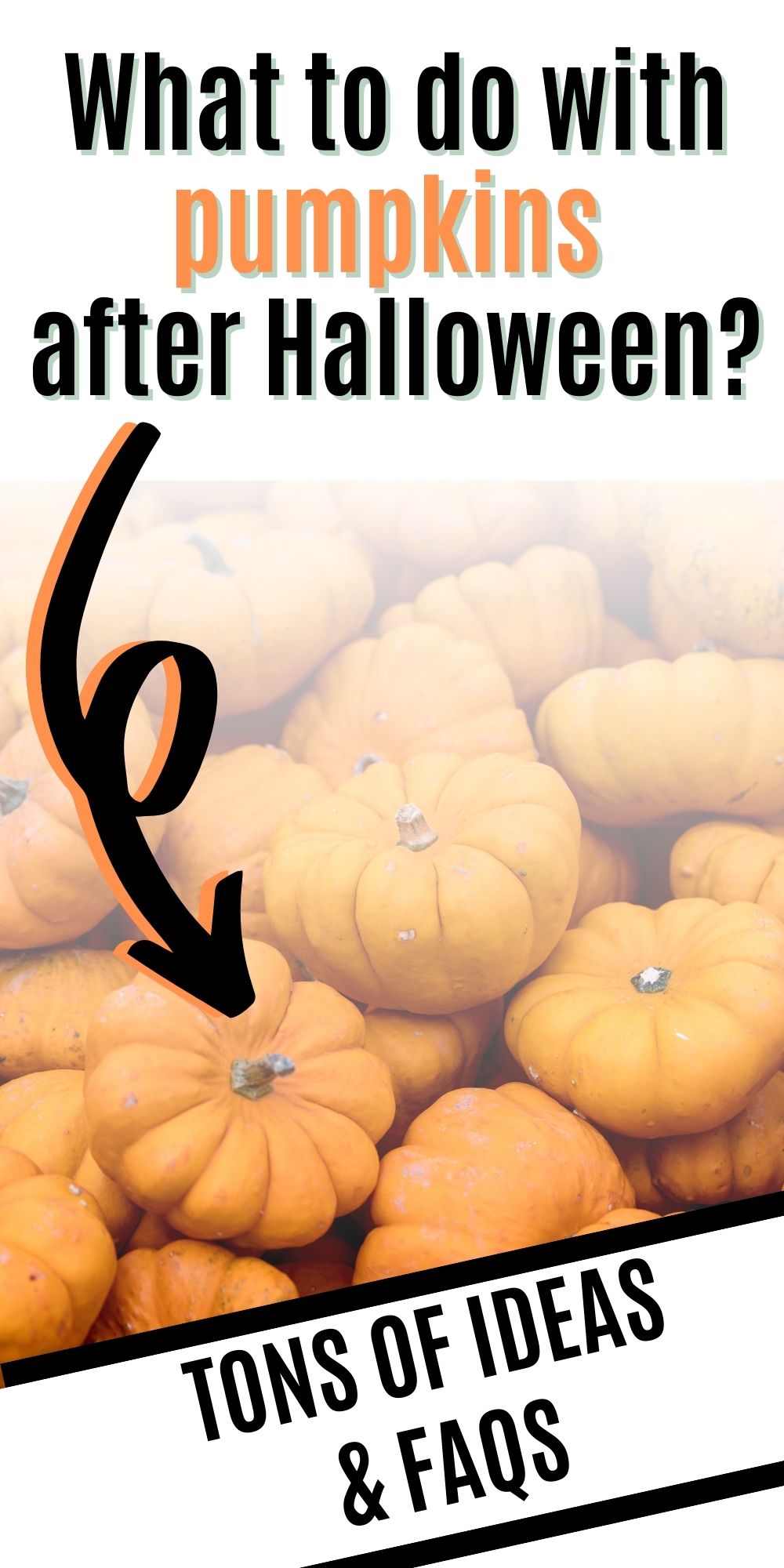 What to do with pumpkins after halloween