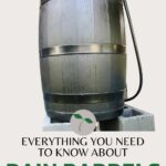 everything you need to know about rain barrels