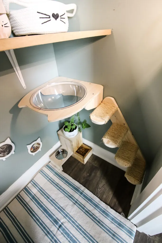 Cat stairs leading to bowl bed