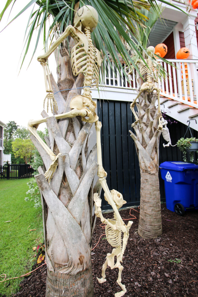 skeletons climbing trees