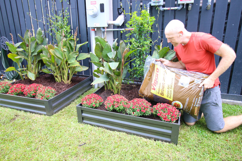 Adding Vigoro mulch around flowers