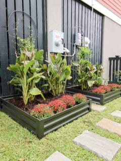 How to create an established flower garden in one afternoon - Charleston Crafted