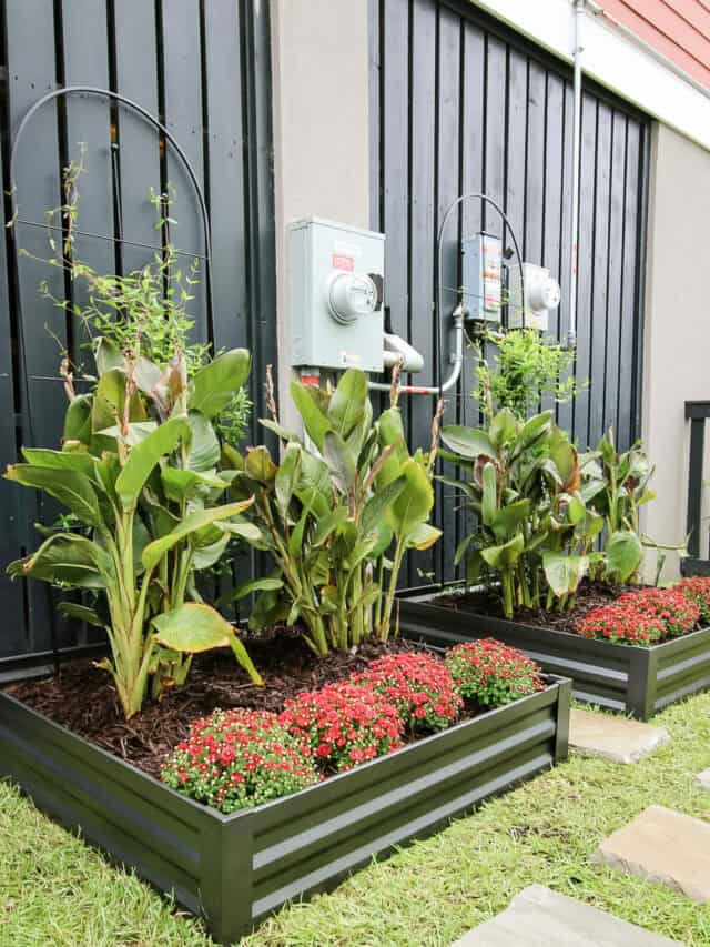 how to build a garden in just one afternoon