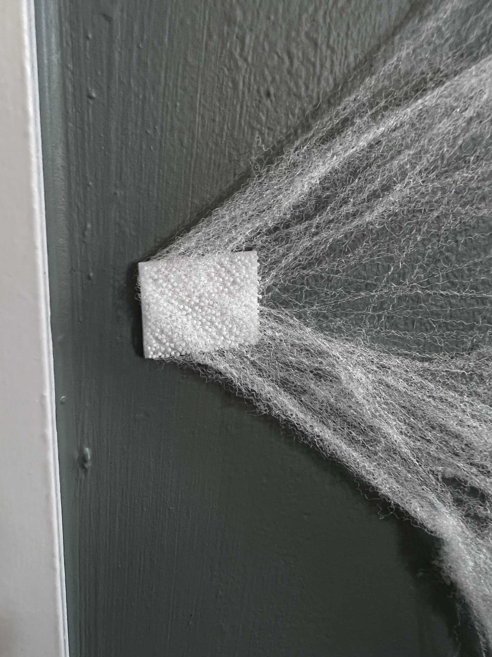 spider web attached to the wall with velcro
