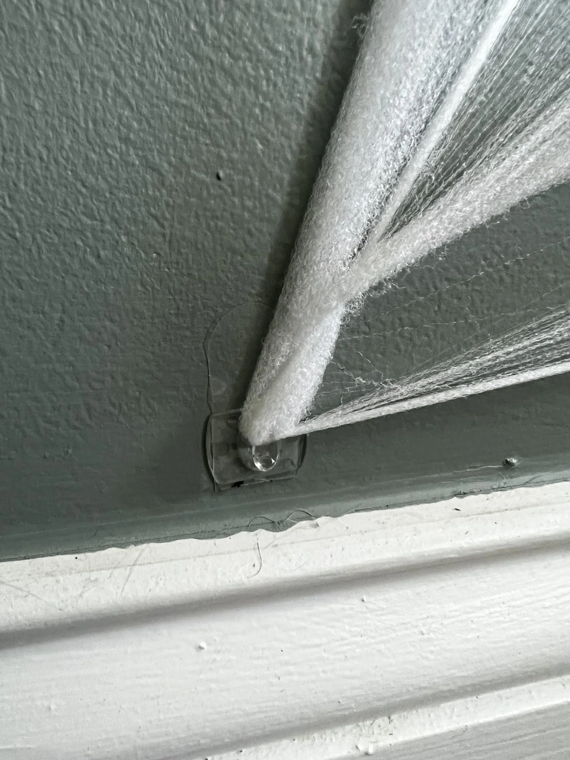 spider web attached to the wall with a command hook