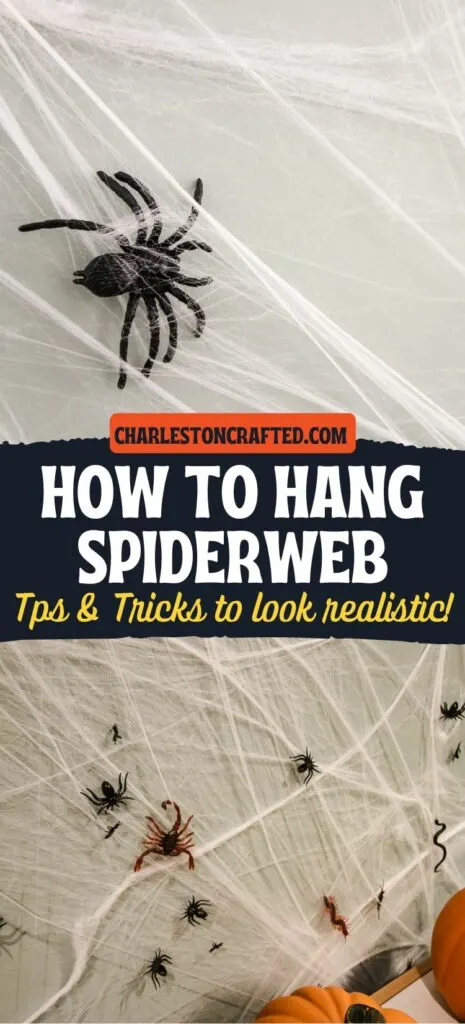 how to hang spiderweb tips and tricks to look realistic