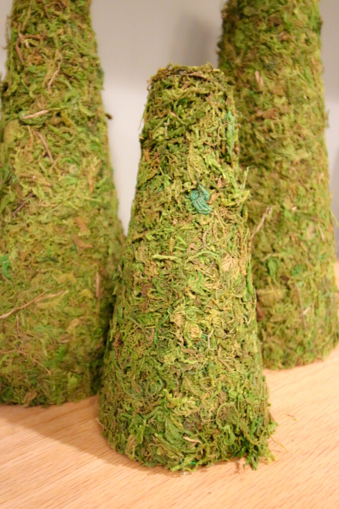 DIY moss Christmas trees